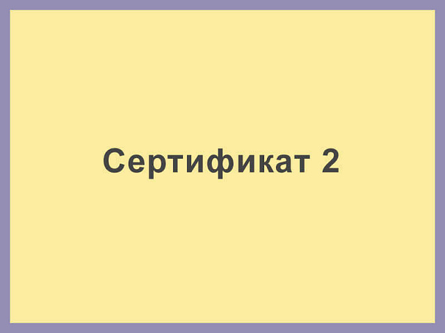 Сертификат 2